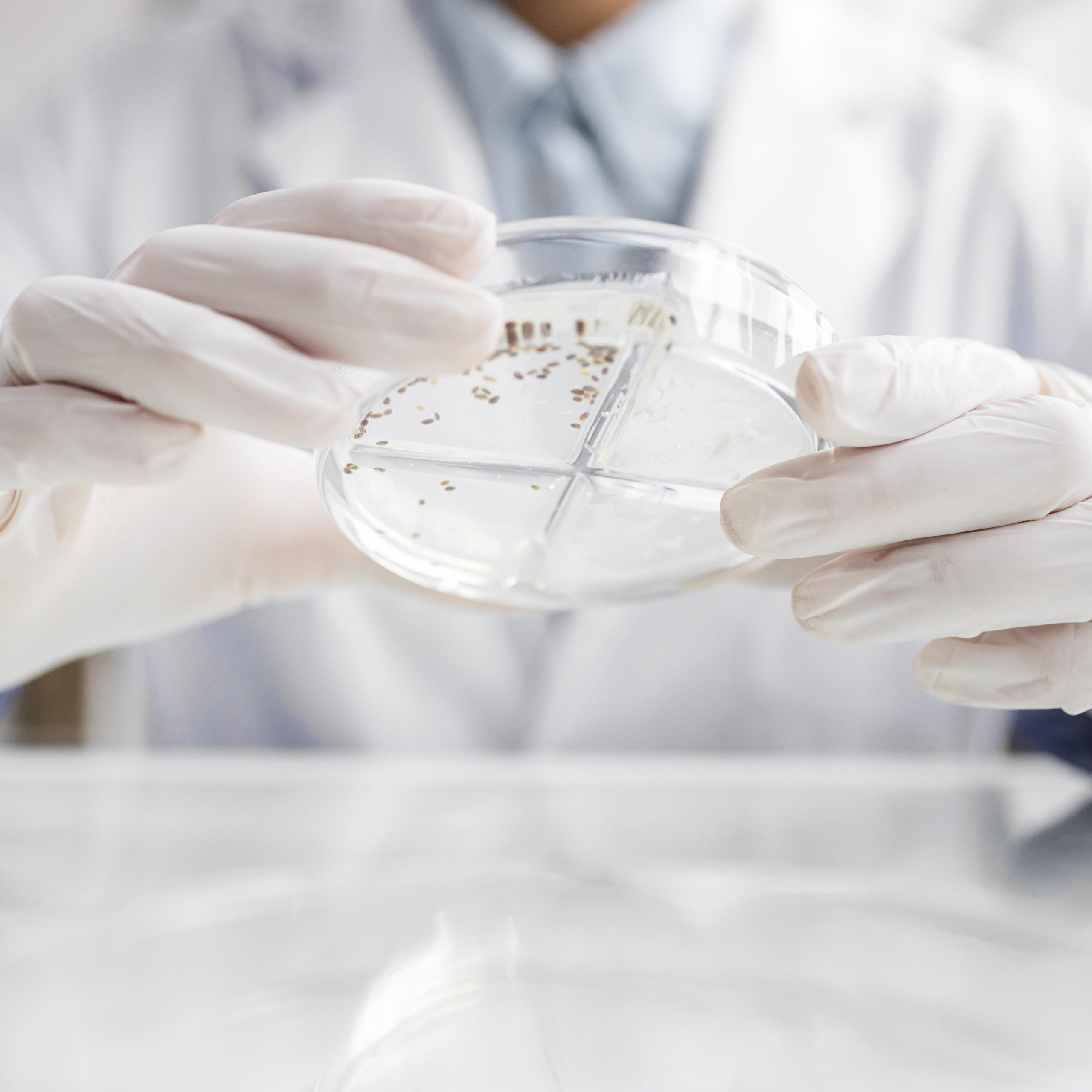 researcher-with-petri-dish-biotechnology-laboratory